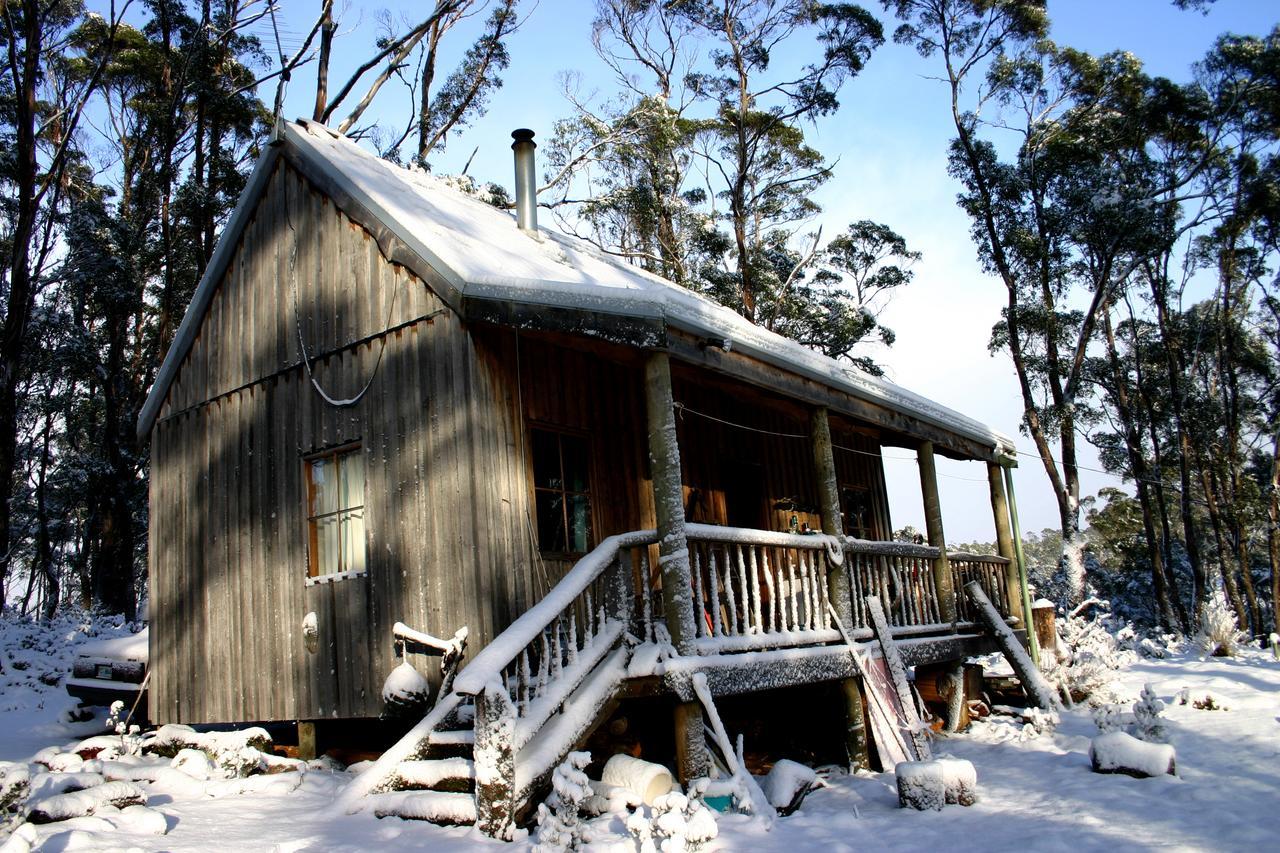 Wombat Cabin Villa Moina Esterno foto