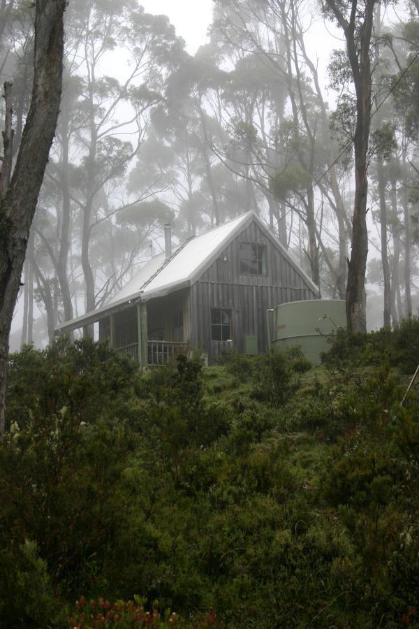 Wombat Cabin Villa Moina Esterno foto