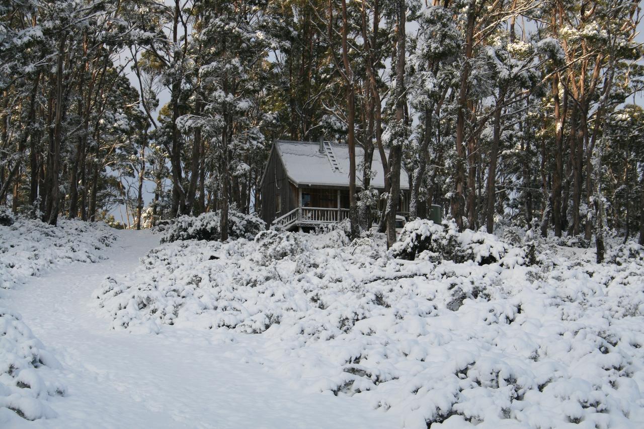 Wombat Cabin Villa Moina Esterno foto